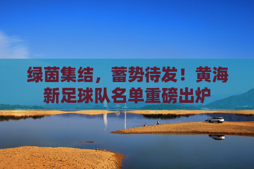 绿茵集结,蓄势待发!黄海新足球队名单重磅出炉