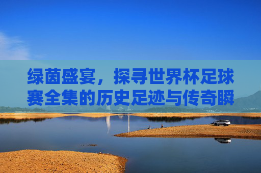绿茵盛宴,探寻世界杯足球赛全集的历史足迹与传奇瞬间