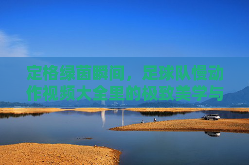 定格绿茵瞬间，足球队慢动作视频大全里的极致美学与战术解析