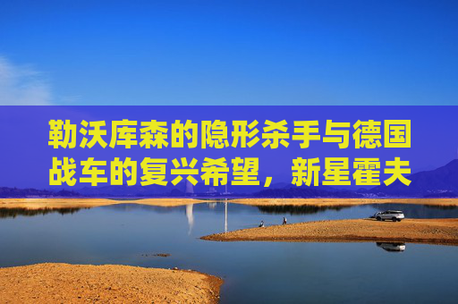 勒沃库森的隐形杀手与德国战车的复兴希望,新星霍夫曼的崛起之路