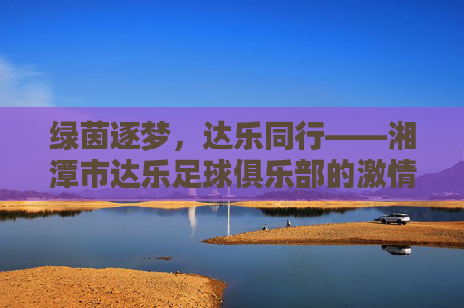 绿茵逐梦，达乐同行——湘潭市达乐足球俱乐部的激情与坚守