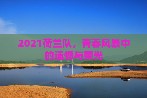 2021荷兰队,青春风暴中的遗憾与荣光