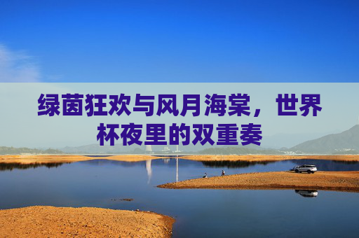 绿茵狂欢与风月海棠,世界杯夜里的双重奏