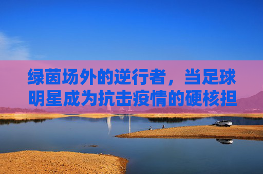 绿茵场外的逆行者，当足球明星成为抗击疫情的硬核担当
