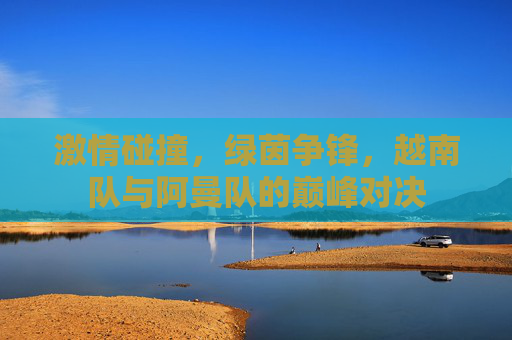 激情碰撞,绿茵争锋,越南队与阿曼队的巅峰对决
