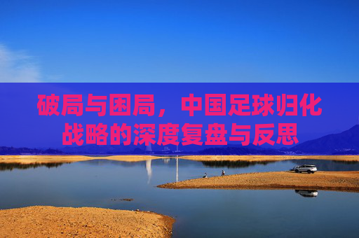 破局与困局,中国足球归化战略的深度复盘与反思