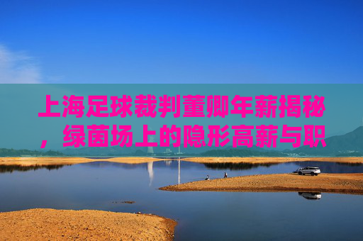 上海足球裁判董卿年薪揭秘,绿茵场上的隐形高薪与职业尊严