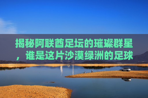 揭秘阿联酋足坛的璀璨群星,谁是这片沙漠绿洲的足球英雄?