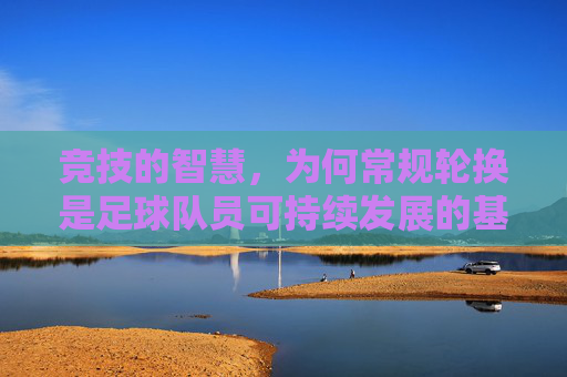 竞技的智慧,为何常规轮换是足球队员可持续发展的基石