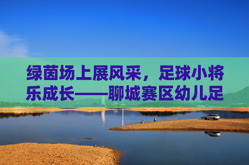 绿茵场上展风采,足球小将乐成长——聊城赛区幼儿足球联赛火热开赛