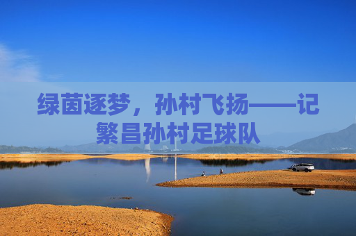 绿茵逐梦,孙村飞扬——记繁昌孙村足球队