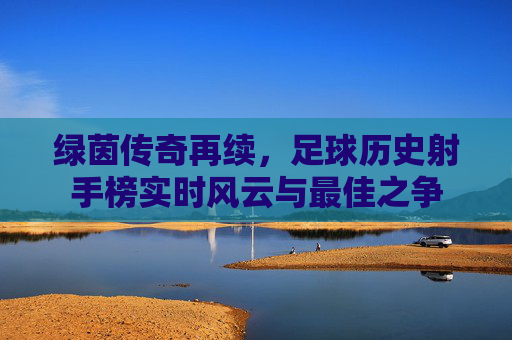 绿茵传奇再续,足球历史射手榜实时风云与最佳之争