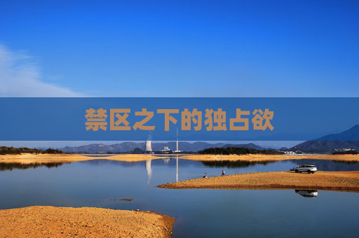 禁区之下的独占欲