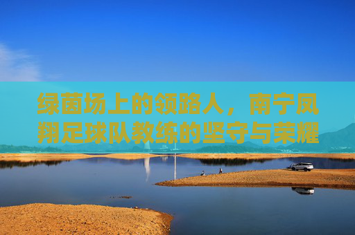 绿茵场上的领路人,南宁凤翔足球队教练的坚守与荣耀