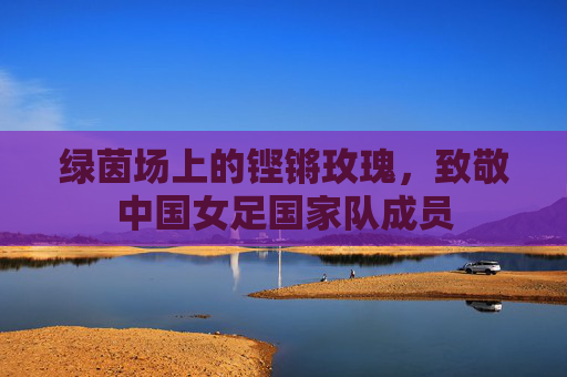 绿茵场上的铿锵玫瑰,致敬中国女足国家队成员