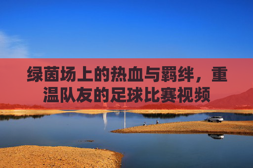 绿茵场上的热血与羁绊,重温队友的足球比赛视频