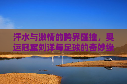 汗水与激情的跨界碰撞,奥运冠军刘洋与足球的奇妙缘分