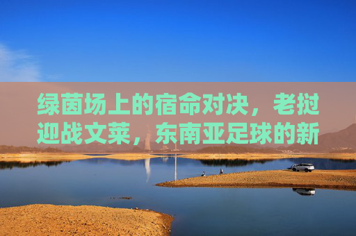 绿茵场上的宿命对决,老挝迎战文莱,东南亚足球的新篇章