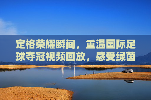 定格荣耀瞬间,重温国际足球夺冠视频回放,感受绿茵场上的极致狂热