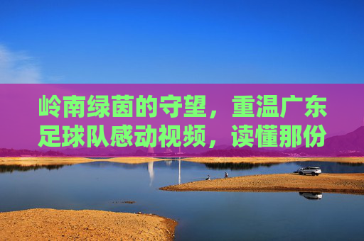 岭南绿茵的守望,重温广东足球队感动视频,读懂那份滚烫的初心