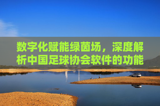 数字化赋能绿茵场,深度解析中国足球协会软件的功能与价值