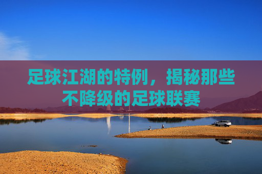 足球江湖的特例，揭秘那些不降级的足球联赛