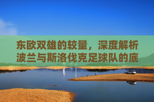 东欧双雄的较量,深度解析波兰与斯洛伐克足球队的底蕴与未来