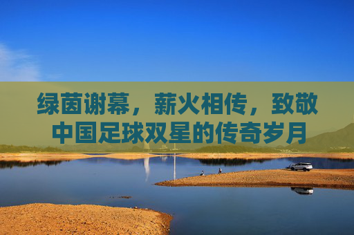 绿茵谢幕,薪火相传,致敬中国足球双星的传奇岁月