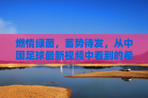 燃情绿茵,蓄势待发,从中国足球最新视频中看到的希望与未来