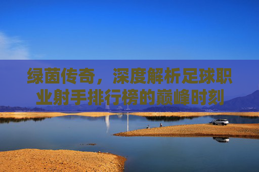 绿茵传奇,深度解析足球职业射手排行榜的巅峰时刻