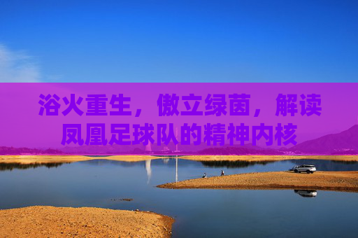 浴火重生,傲立绿茵,解读凤凰足球队的精神内核