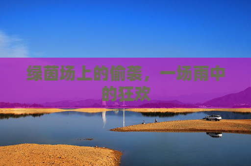 绿茵场上的偷袭,一场雨中的狂欢
