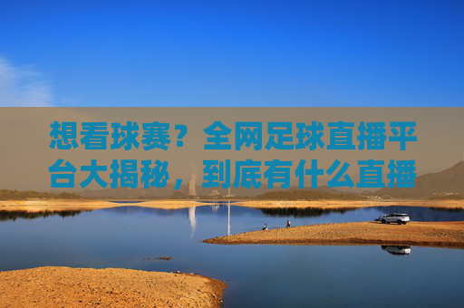想看球赛?全网足球直播平台大揭秘,到底有什么直播足球比赛