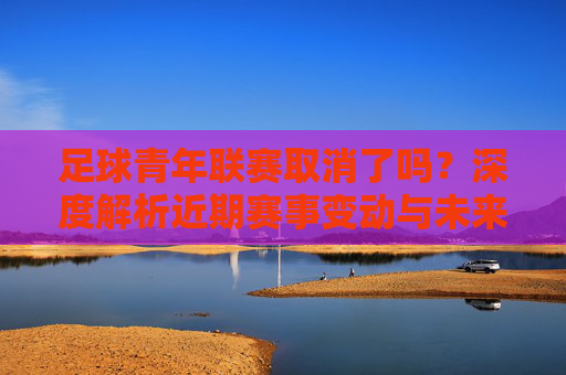 足球青年联赛取消了吗?深度解析近期赛事变动与未来展望