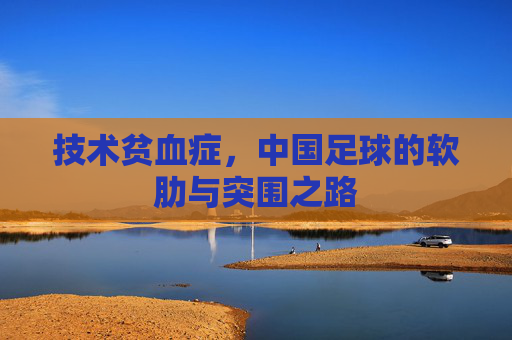 技术贫血症,中国足球的软肋与突围之路