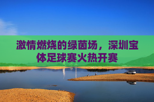 激情燃烧的绿茵场,深圳宝体足球赛火热开赛