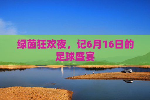 绿茵狂欢夜,记6月16日的足球盛宴