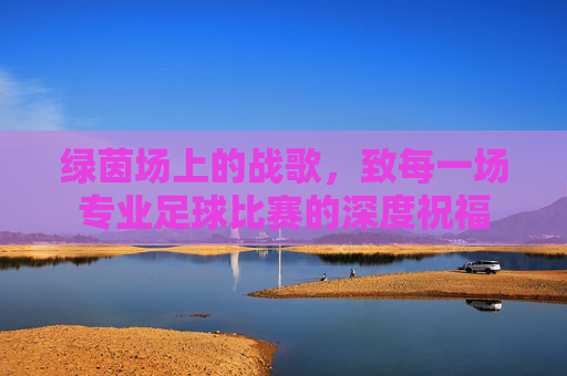 绿茵场上的战歌,致每一场专业足球比赛的深度祝福