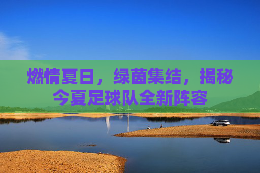 燃情夏日,绿茵集结,揭秘今夏足球队全新阵容