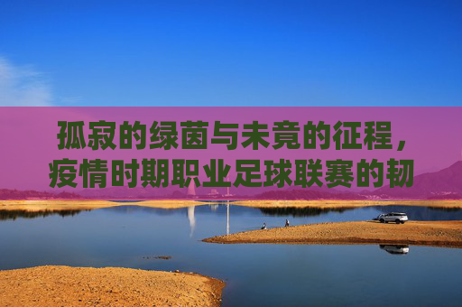 孤寂的绿茵与未竟的征程,疫情时期职业足球联赛的韧性重构