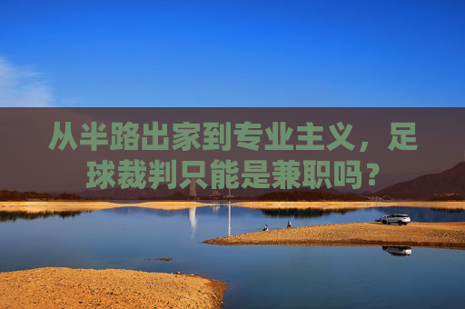 从半路出家到专业主义,足球裁判只能是兼职吗?