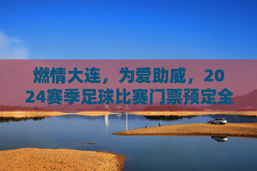 燃情大连,为爱助威,2024赛季足球比赛门票预定全攻略