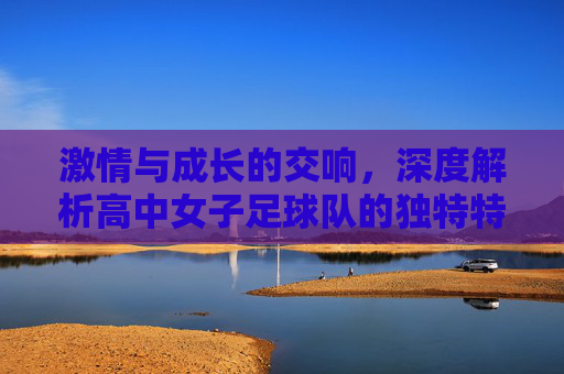 激情与成长的交响,深度解析高中女子足球队的独特特质