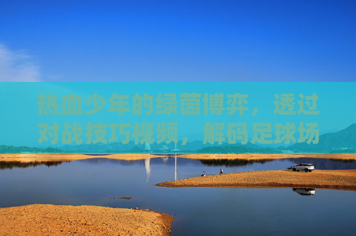 热血少年的绿茵博弈,透过对战技巧视频,解码足球场上的制胜密码