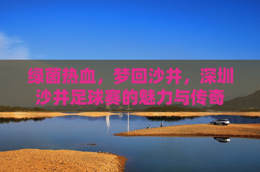 绿茵热血,梦回沙井,深圳沙井足球赛的魅力与传奇