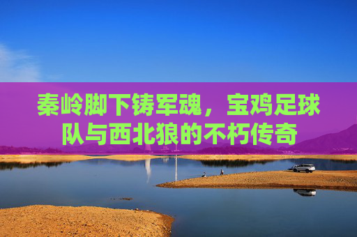 秦岭脚下铸军魂，宝鸡足球队与西北狼的不朽传奇