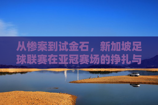 从惨案到试金石，新加坡足球联赛在亚冠赛场的挣扎与新生
