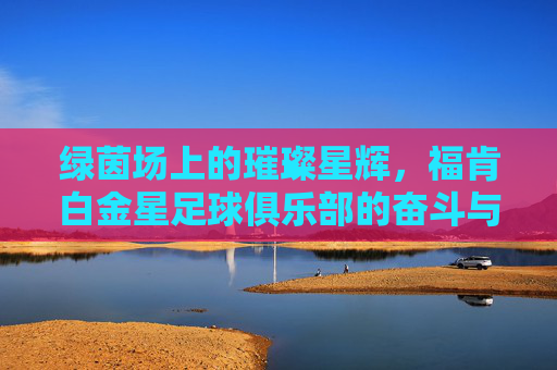 绿茵场上的璀璨星辉,福肯白金星足球俱乐部的奋斗与荣耀