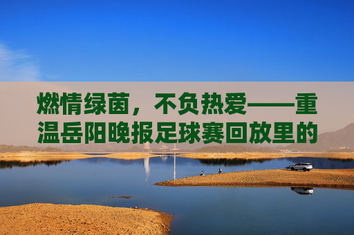 燃情绿茵,不负热爱——重温岳阳晚报足球赛回放里的热血青春