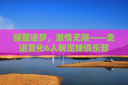 绿茵逐梦,激情无限——走进宣化6人制足球俱乐部